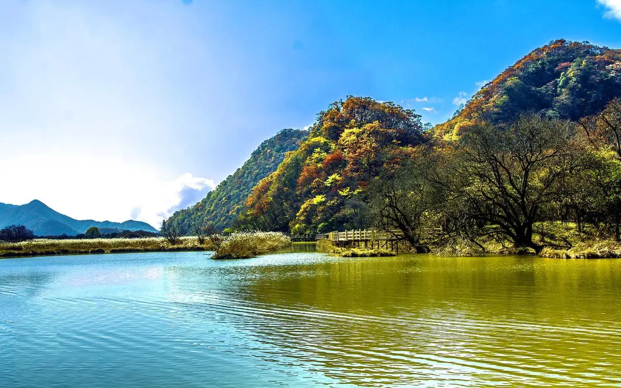 高效高端